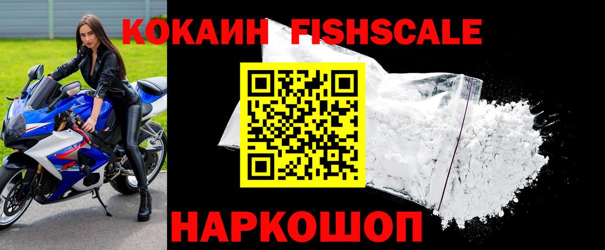 Cocaine Fish Scale  Вход с VPN  Петровск 