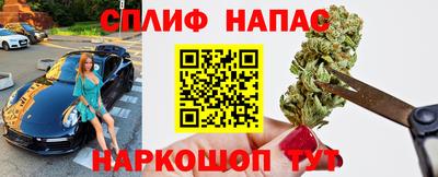 прущие грибы Рыбинск