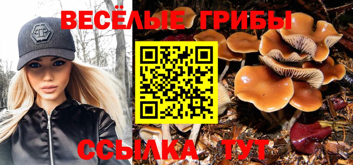 купить наркотики сайты  Галлюциногенные грибы ЛСД  Вход с VPN  Петровск 