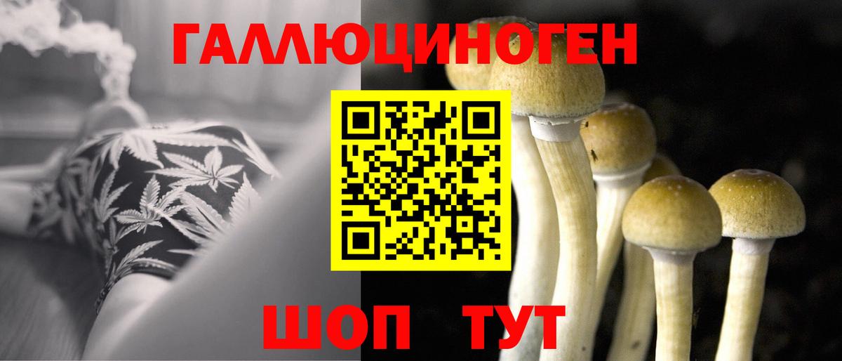 Галлюциногенные грибы Psilocybine cubensis  Петровск  Псилоцибиновые грибы Cubensis 