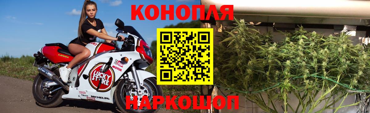 Шишки марихуана ГИДРОПОН Петровск